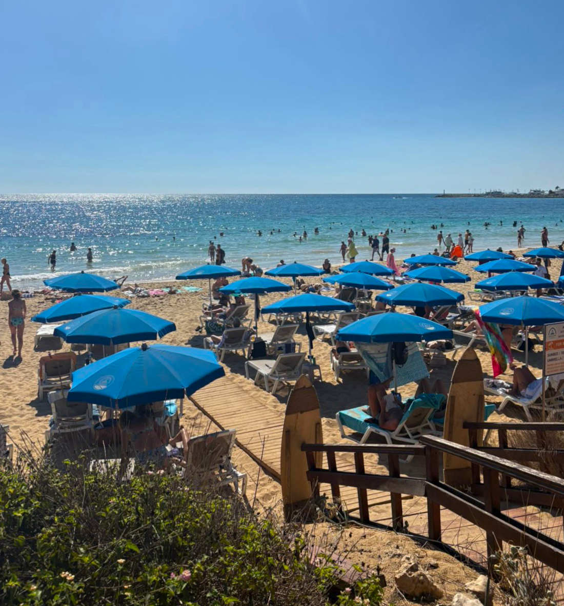 Photo of the beach used in making the cake