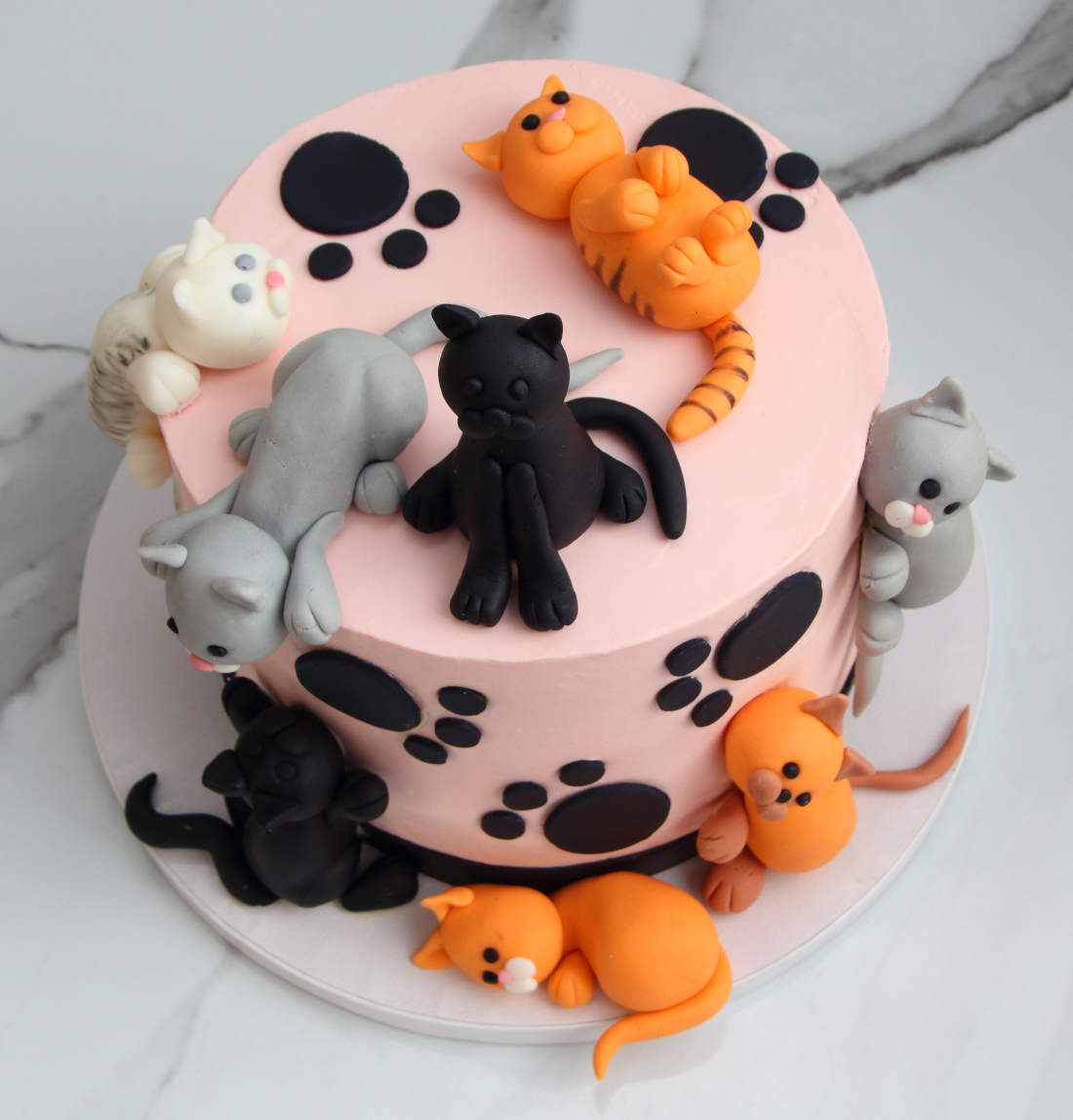 8 cats on a birthday cake - buy in Vilnius