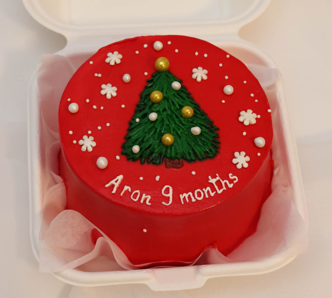 Bento cake with the Christmas tree for 9 months