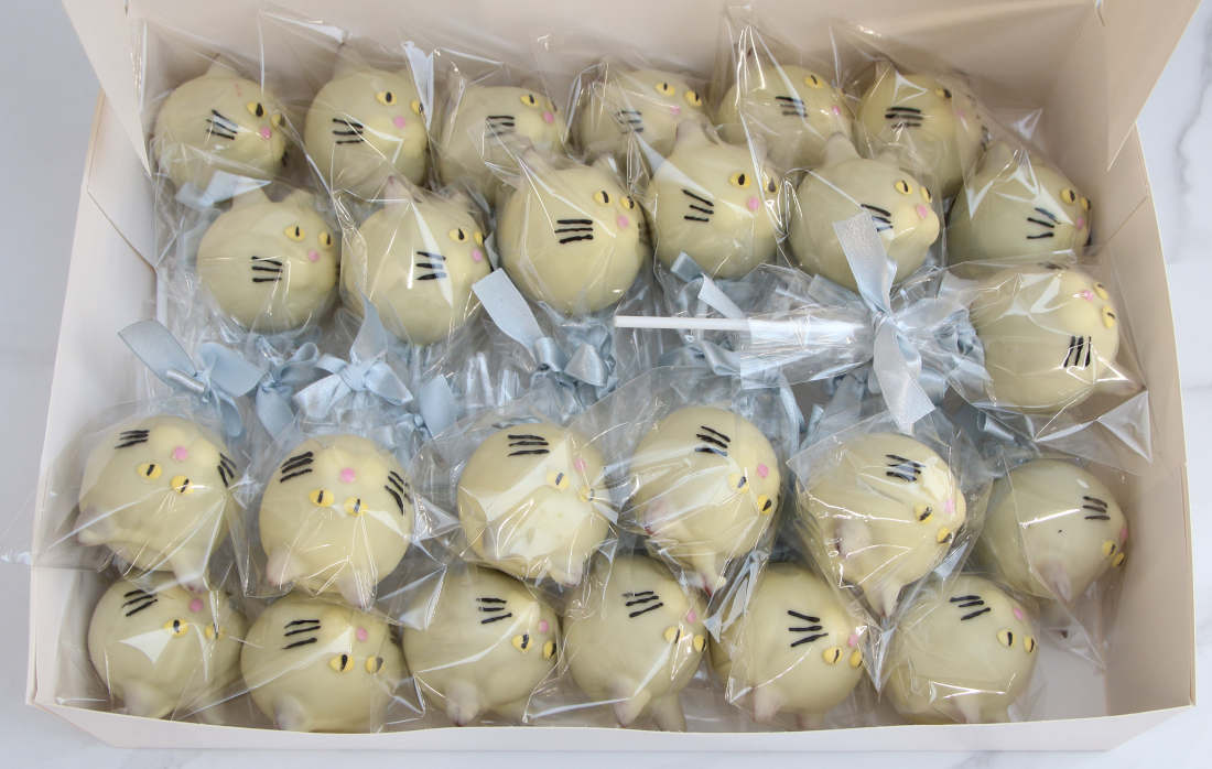 Cake pop katinai Vilniuje