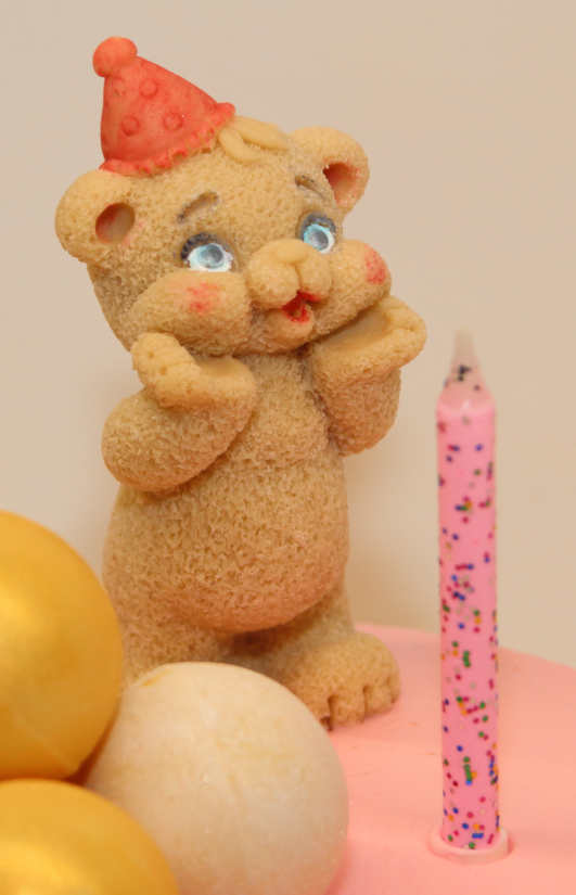 Bento cake for a year for a boy with a chocolate bear