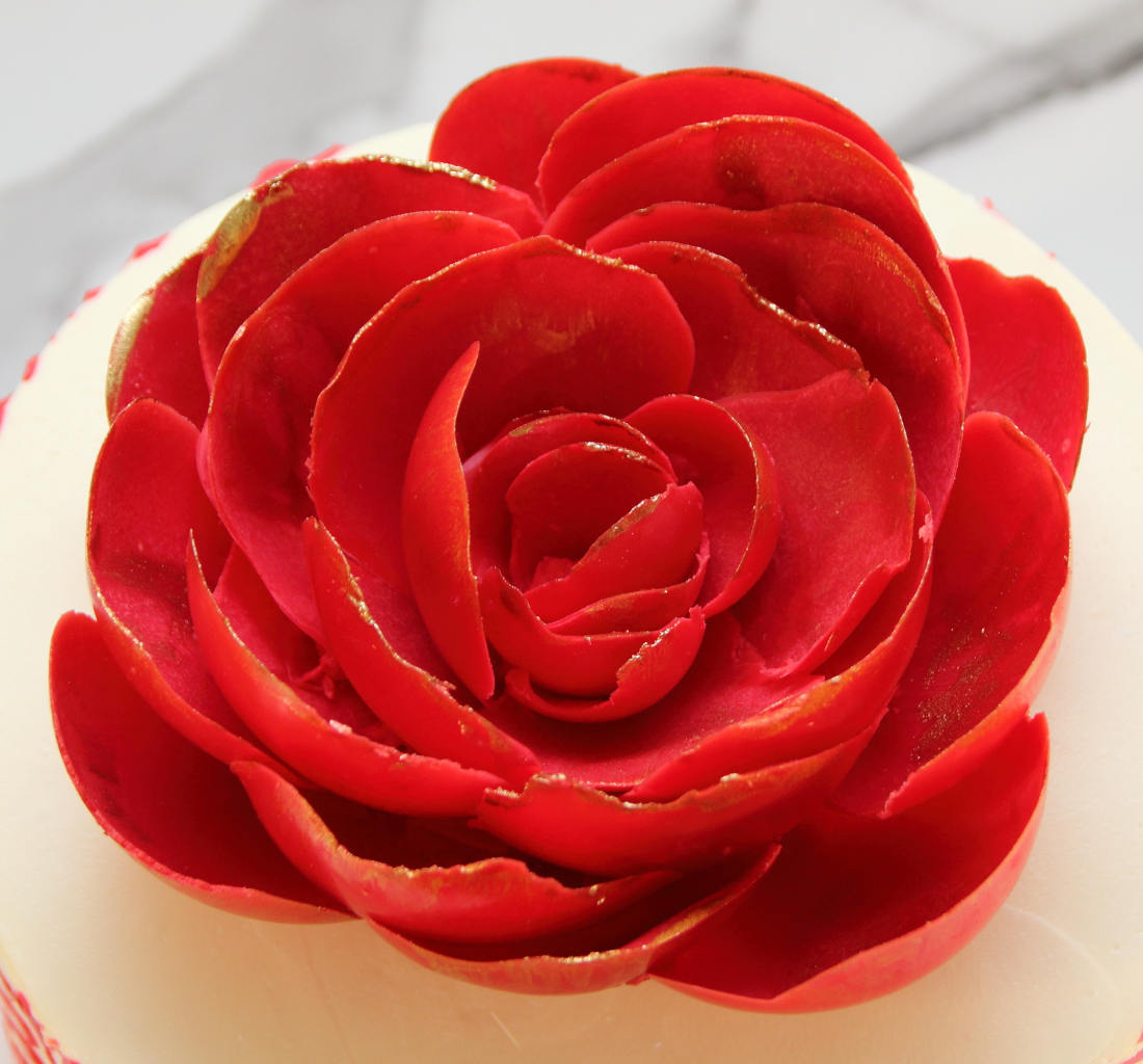 Raudonojo šokoladinio bijūno gėlė ant torto moteriai