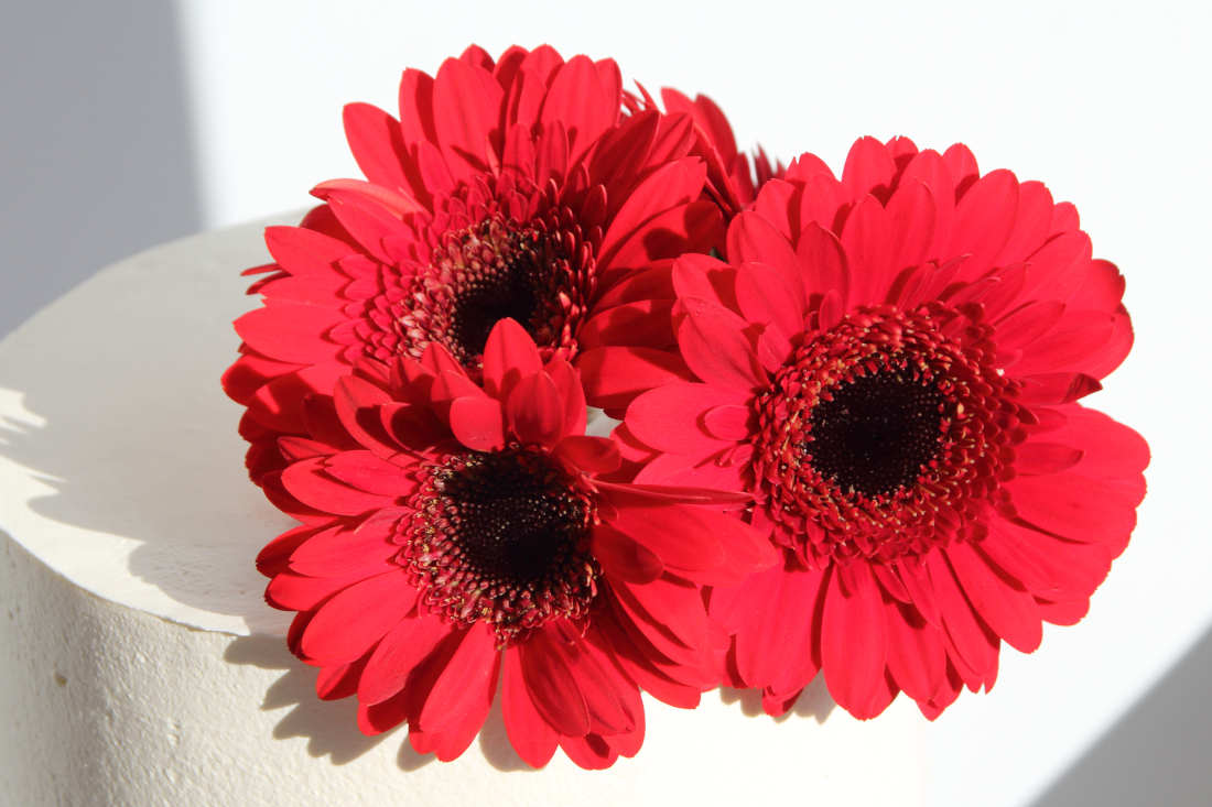 Red gerbera flowers on a wedding cake