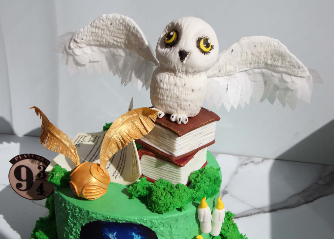 Potter's Owl Hedwig and the Golden Snitch on a Birthday Cake in Vilnius