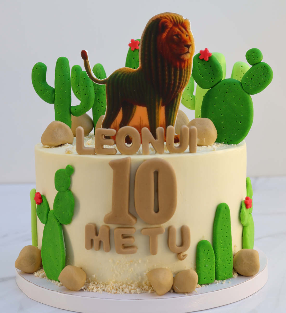 10th birthday cake Leonelli Cactuselli