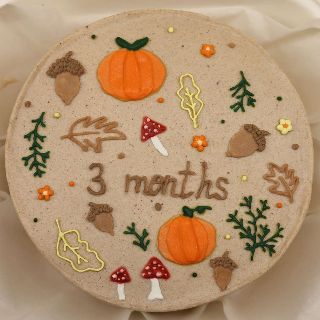 Forest bento cake for a 3-month-old baby