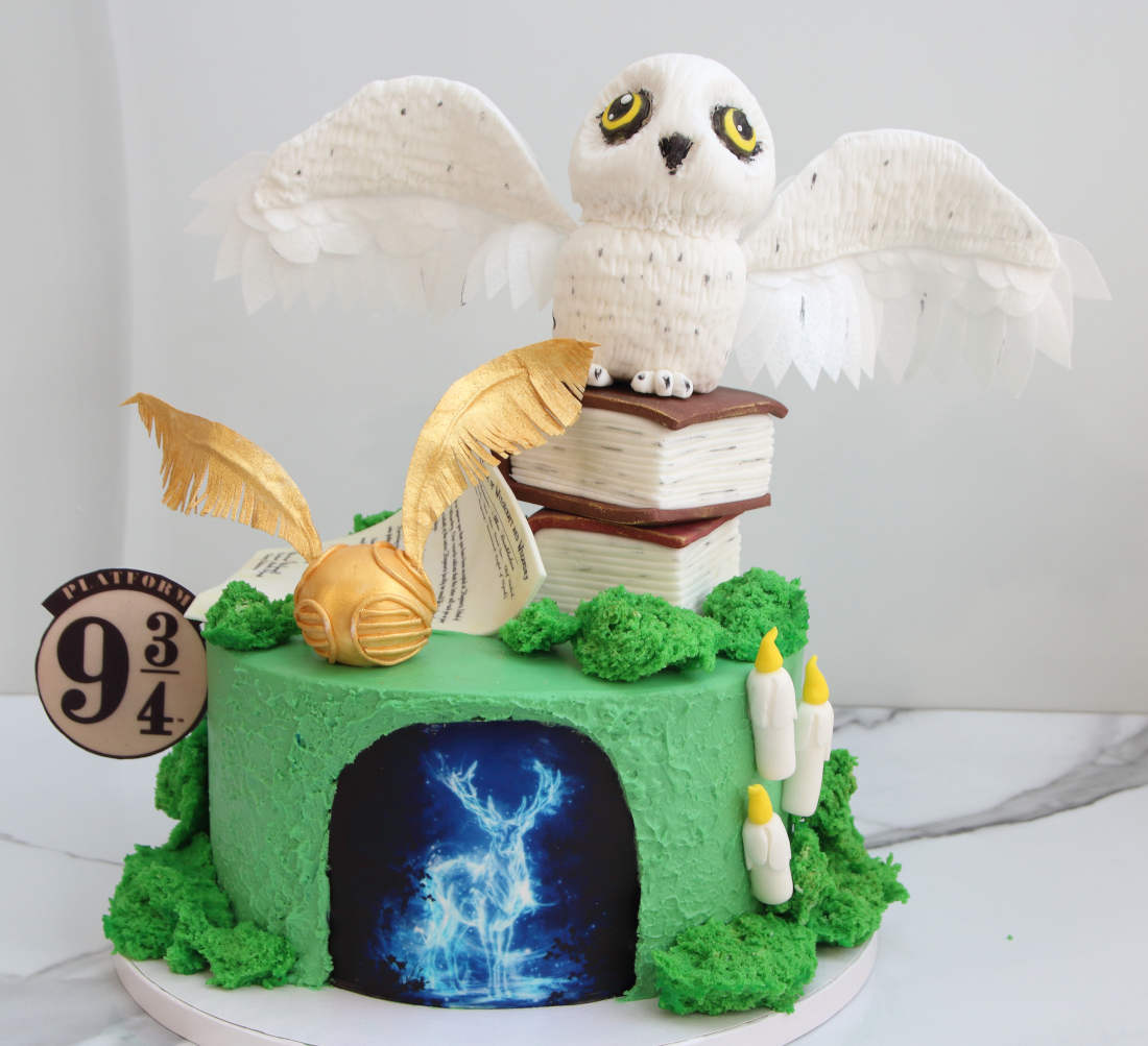 Harry Potter cake with an owl and Hogwarts letter