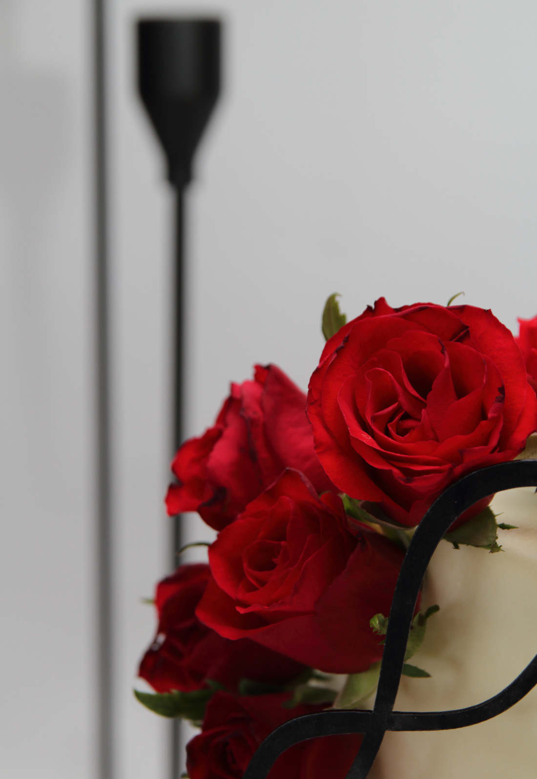 Gyvos raudonos rožės ant torto