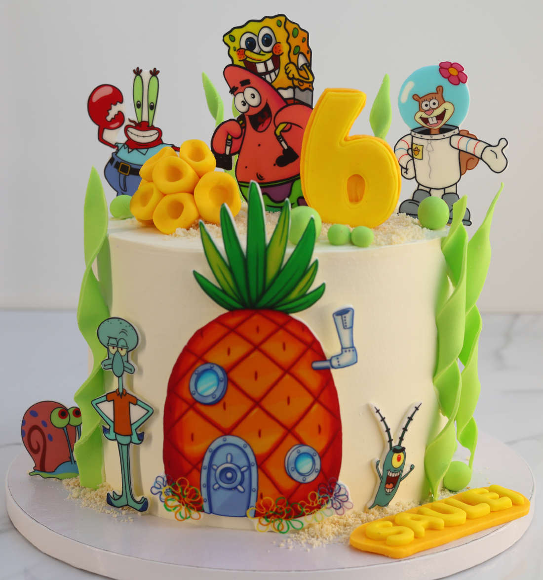 Cake SpongeBob and friends: Patrick, Squidward, Krabs, Sandy, Gary
