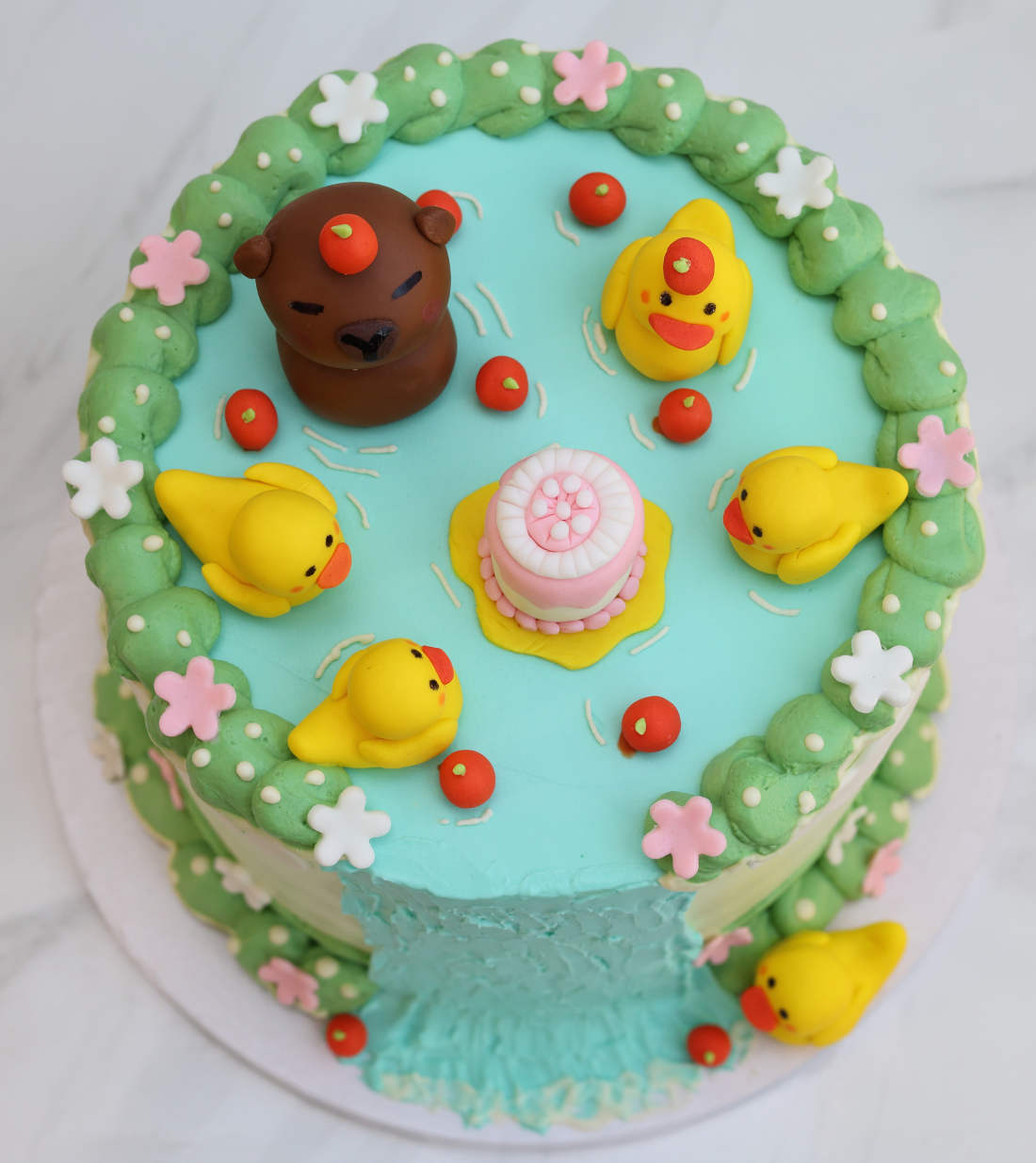 Ducks and the capybara in the water near the waterfall